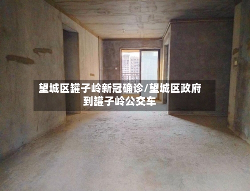 望城区罐子岭新冠确诊/望城区政府到罐子岭公交车