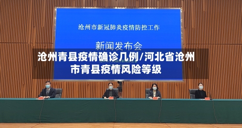 沧州青县疫情确诊几例/河北省沧州市青县疫情风险等级-第2张图片