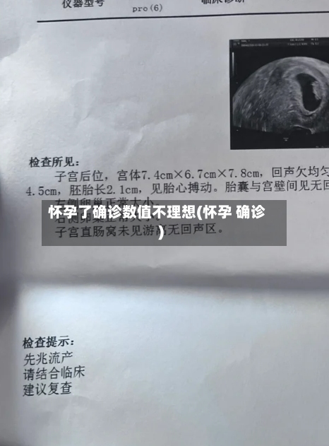 怀孕了确诊数值不理想(怀孕 确诊)