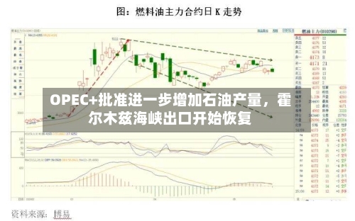 OPEC+批准进一步增加石油产量，霍尔木兹海峡出口开始恢复-第3张图片