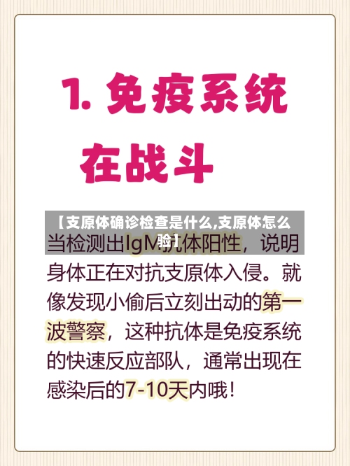【支原体确诊检查是什么,支原体怎么验】