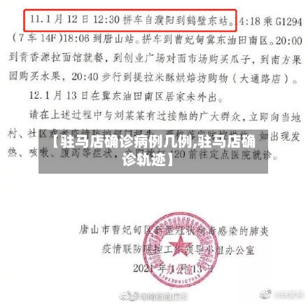 【驻马店确诊病例几例,驻马店确诊轨迹】-第3张图片