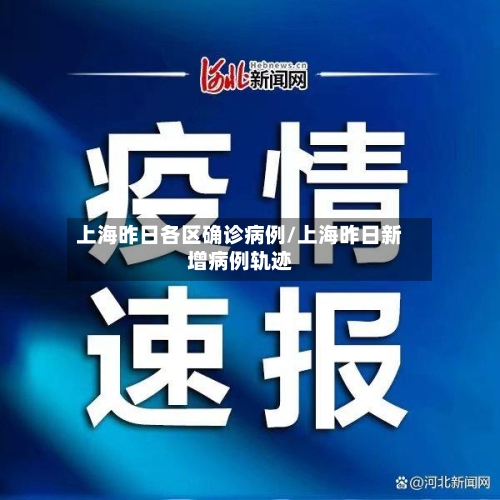 上海昨日各区确诊病例/上海昨日新增病例轨迹-第2张图片