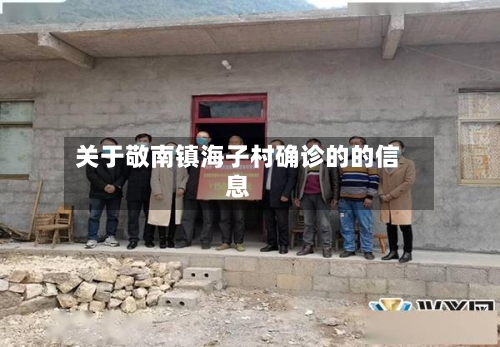 关于敬南镇海子村确诊的的信息