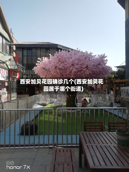 西安加贝花园确诊几个(西安加贝花园属于哪个街道)-第2张图片