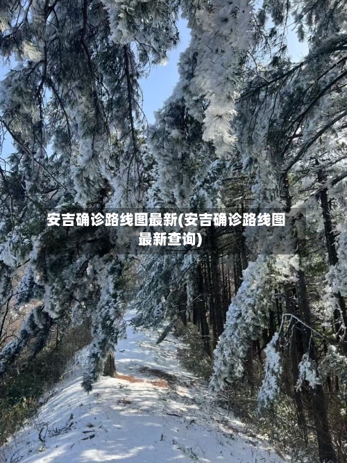 安吉确诊路线图最新(安吉确诊路线图最新查询)