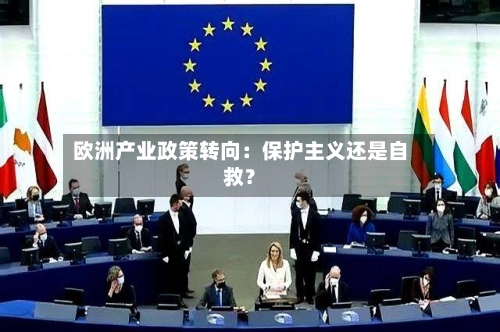 欧洲产业政策转向:保护主义还是自救?-第2张图片