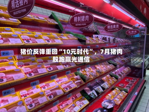 猪价反弹重回“10元时代	”，7月猪肉股跑赢光通信-第2张图片