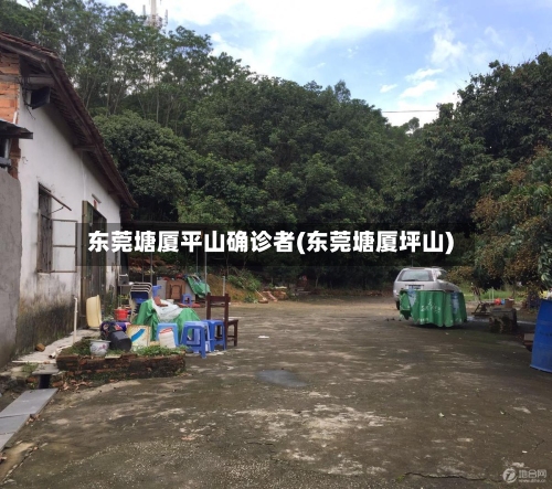 东莞塘厦平山确诊者(东莞塘厦坪山)-第2张图片