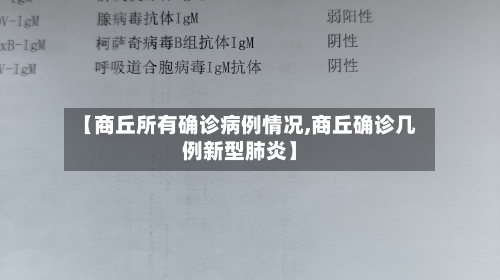 【商丘所有确诊病例情况,商丘确诊几例新型肺炎】-第2张图片