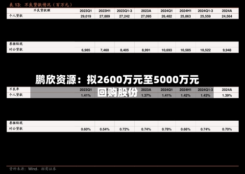 鹏欣资源：拟2600万元至5000万元回购股份-第2张图片