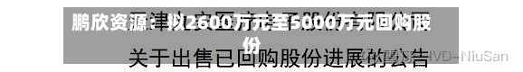 鹏欣资源：拟2600万元至5000万元回购股份