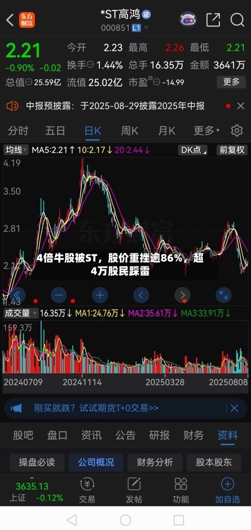 4倍牛股被ST，股价重挫逾86%	，超4万股民踩雷-第2张图片