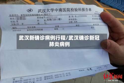 武汉新确诊病例行程/武汉确诊新冠肺炎病例