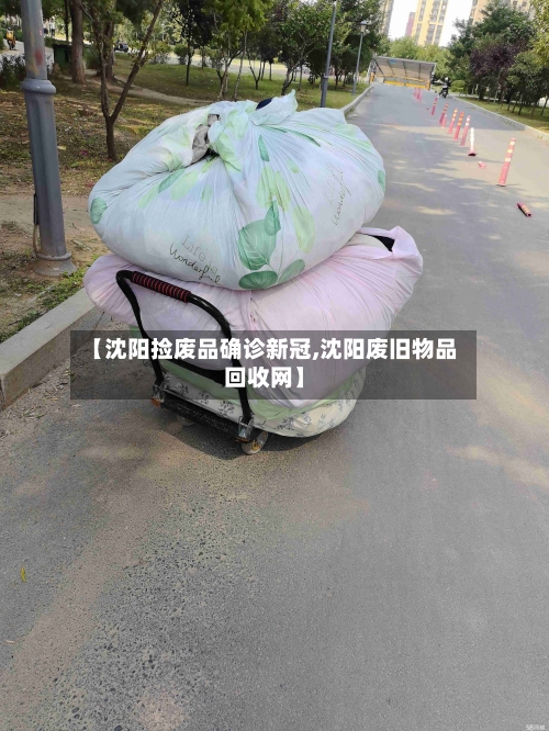 【沈阳捡废品确诊新冠,沈阳废旧物品回收网】-第3张图片