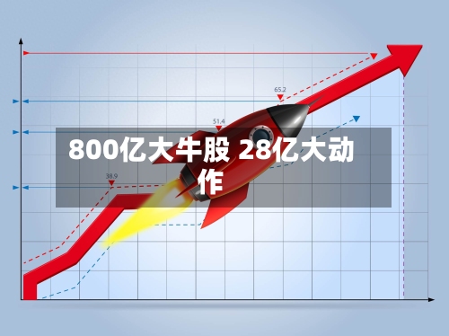 800亿大牛股 28亿大动作-第1张图片