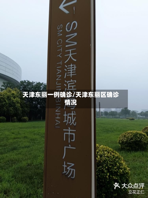 天津东丽一例确诊/天津东丽区确诊情况