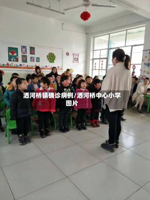 洒河桥镇确诊病例/洒河桥中心小学图片