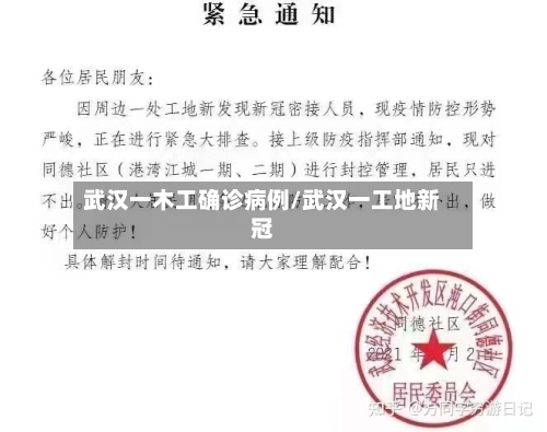 武汉一木工确诊病例/武汉一工地新冠