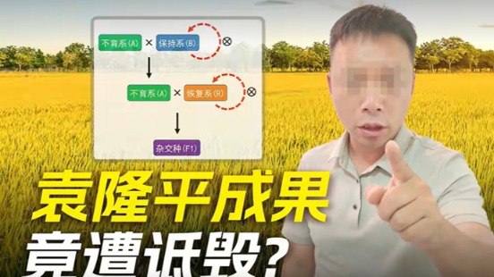 超200万粉丝网红诋毁袁隆平成果：将“三系杂交技术”称为“变态杂交”